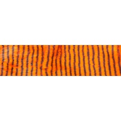 ZONKER BARRED - oranžovo-černý 4 mm - 70 cm